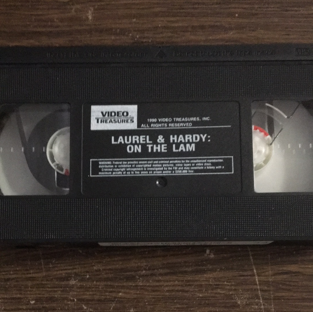 Amazon.com: Laurel & Hardy: Swiss Miss [VHS] : Stan Laurel