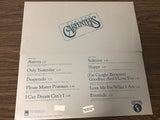 The Carpenters Horizon LP