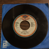 Starland Vocal Band Afternoon Delight 45